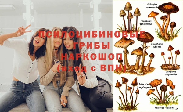 гашиш Абаза